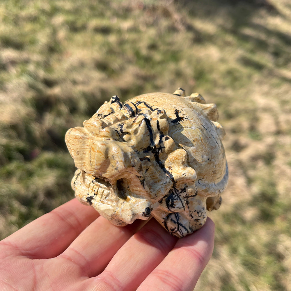 Natural Crystal Picture Jasper Dragon Turtle