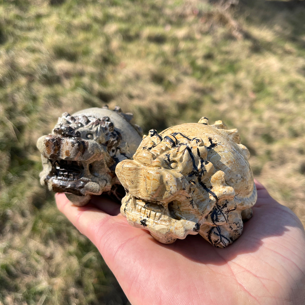 Natural Crystal Picture Jasper Dragon Turtle