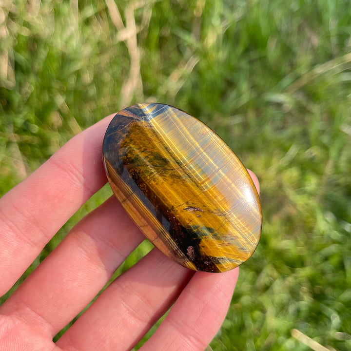 Natural Crystal Blue and Yellow Tiger's Eye Palm Stone