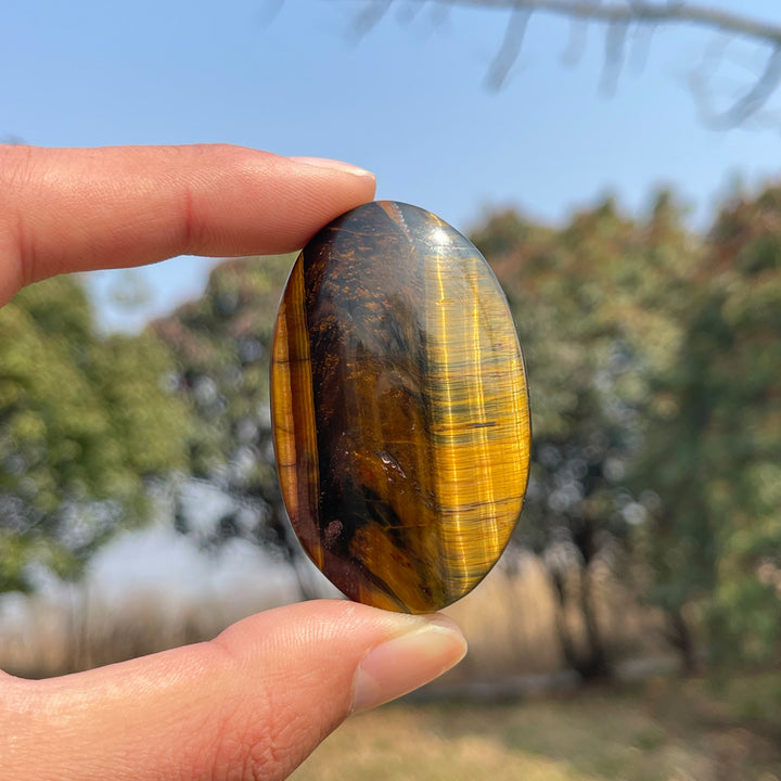 Natural Crystal Blue and Yellow Tiger's Eye Palm Stone
