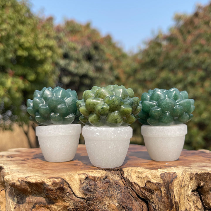 Natural Crystal Green Succulent Potted Plant