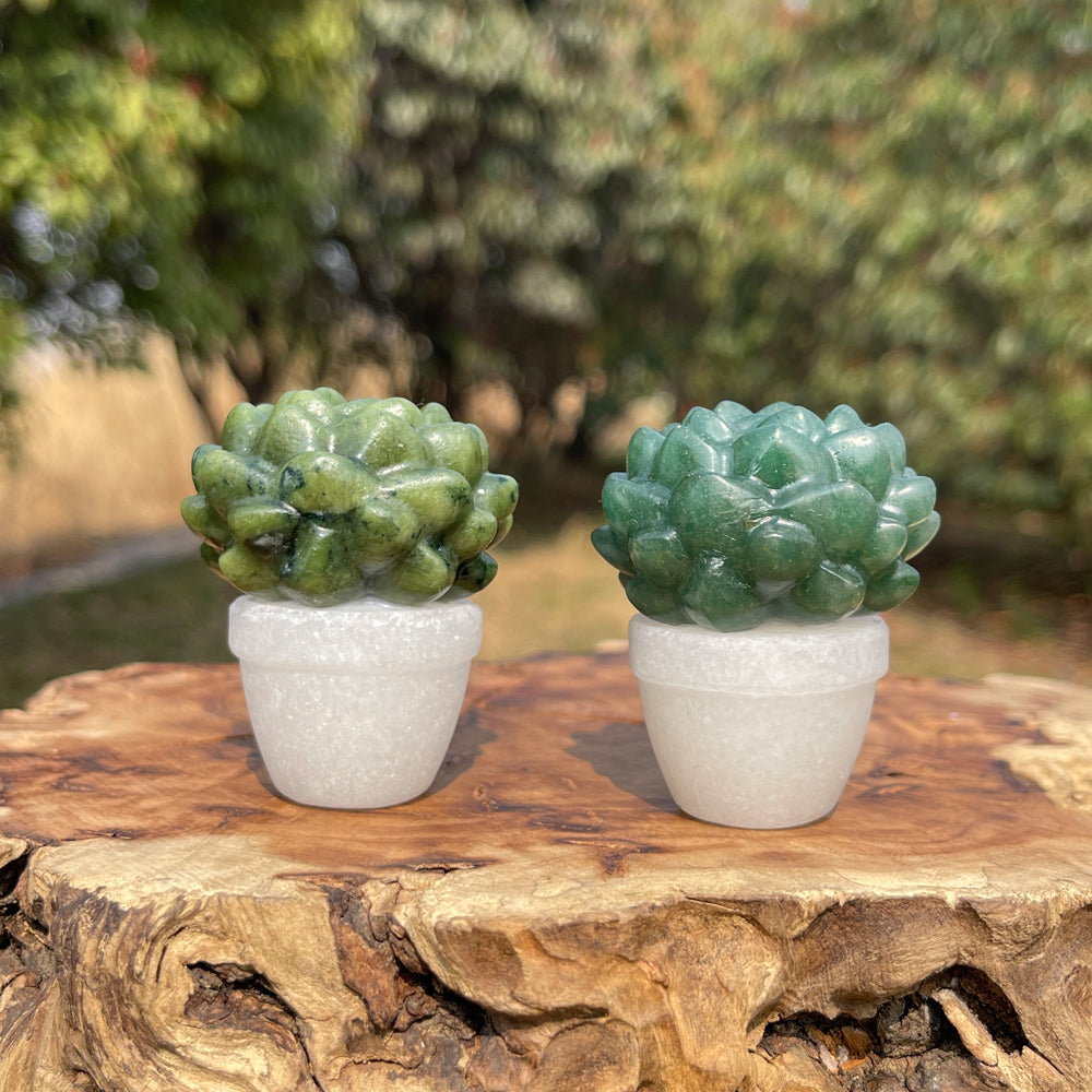 Natural Crystal Green Succulent Potted Plant