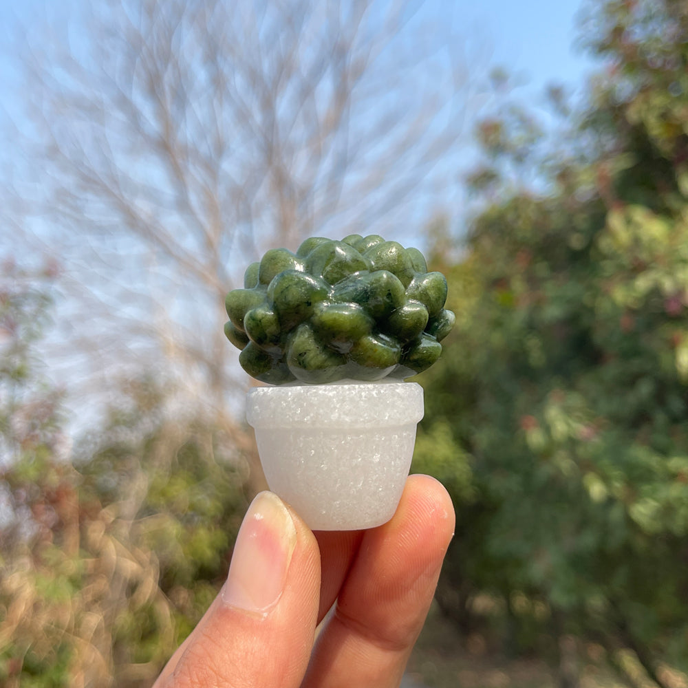 Natural Crystal Green Succulent Potted Plant