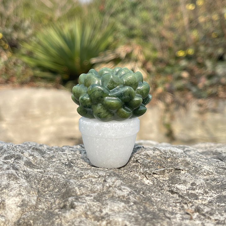 Natural Crystal Green Succulent Potted Plant