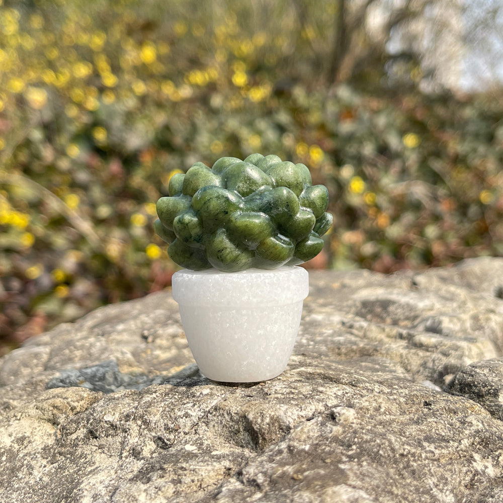 Natural Crystal Green Succulent Potted Plant