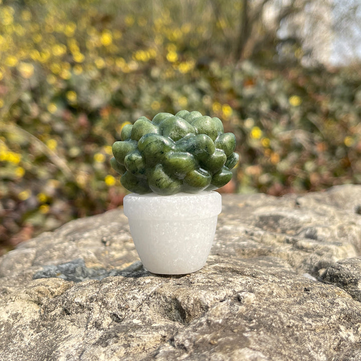 Natural Crystal Green Succulent Potted Plant