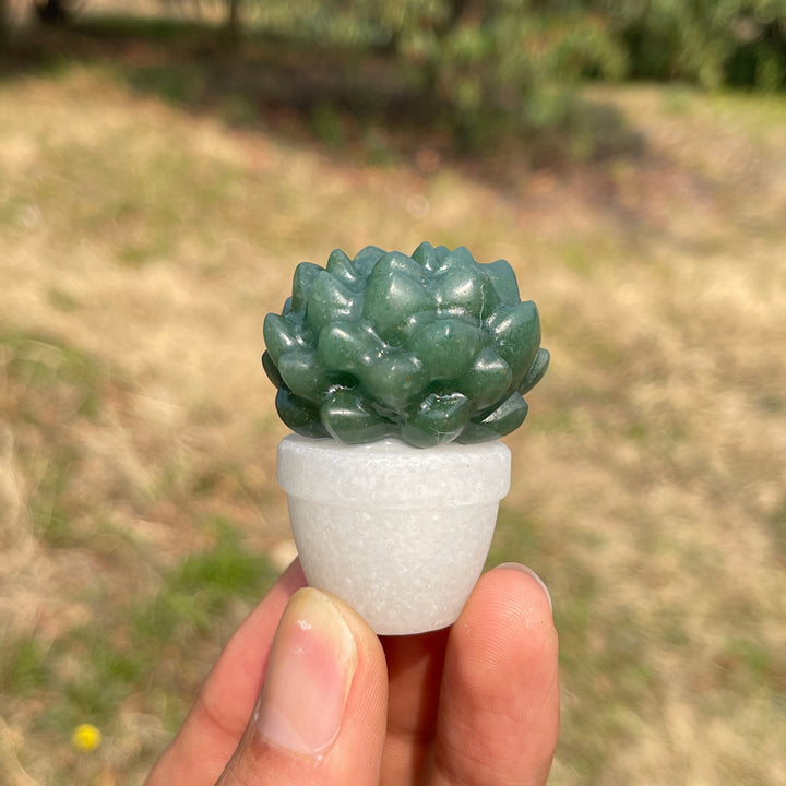 Natural Crystal Green Succulent Potted Plant