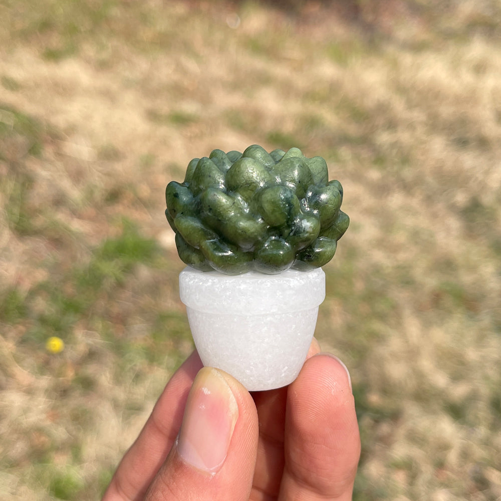 Natural Crystal Green Succulent Potted Plant