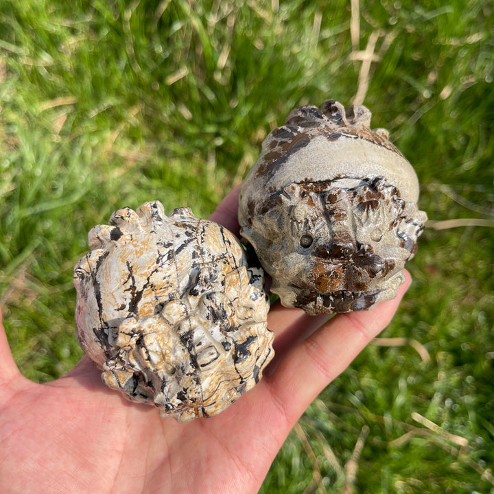 Natural Crystal Picture Jasper Dragon Turtle