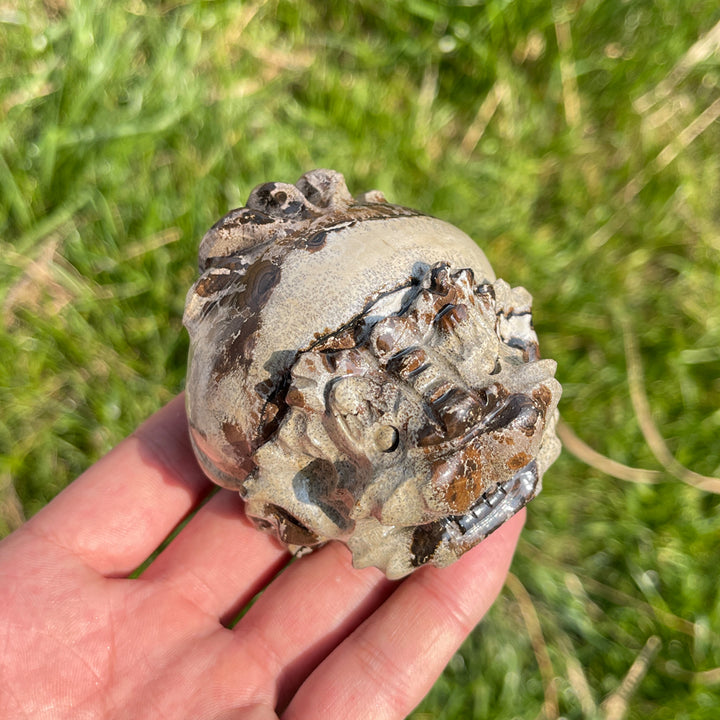 Natural Crystal Picture Jasper Dragon Turtle