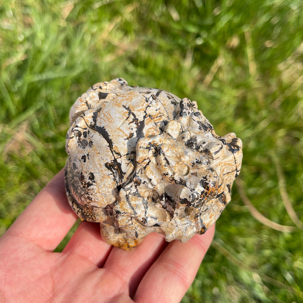 Natural Crystal Picture Jasper Dragon Turtle
