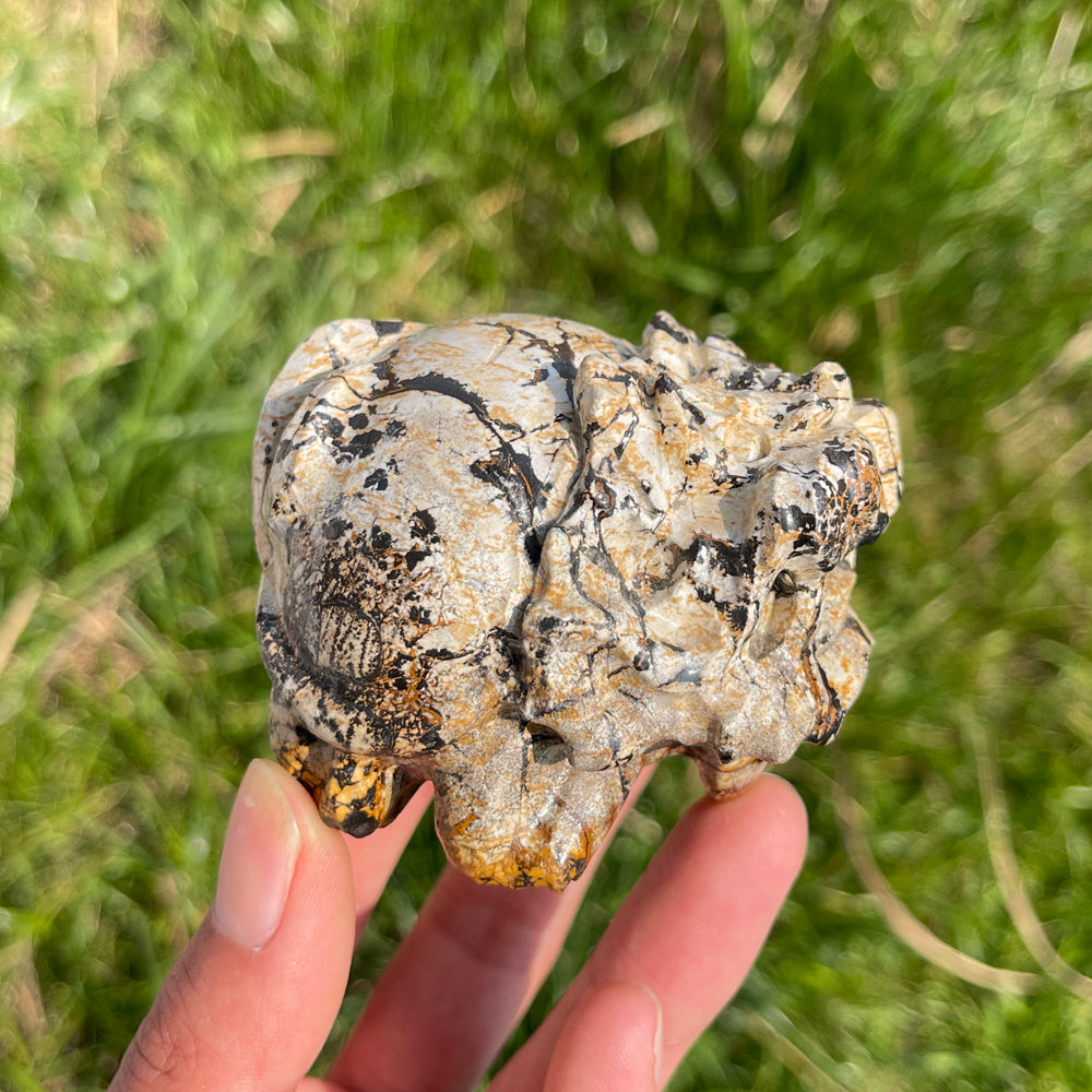 Natural Crystal Picture Jasper Dragon Turtle