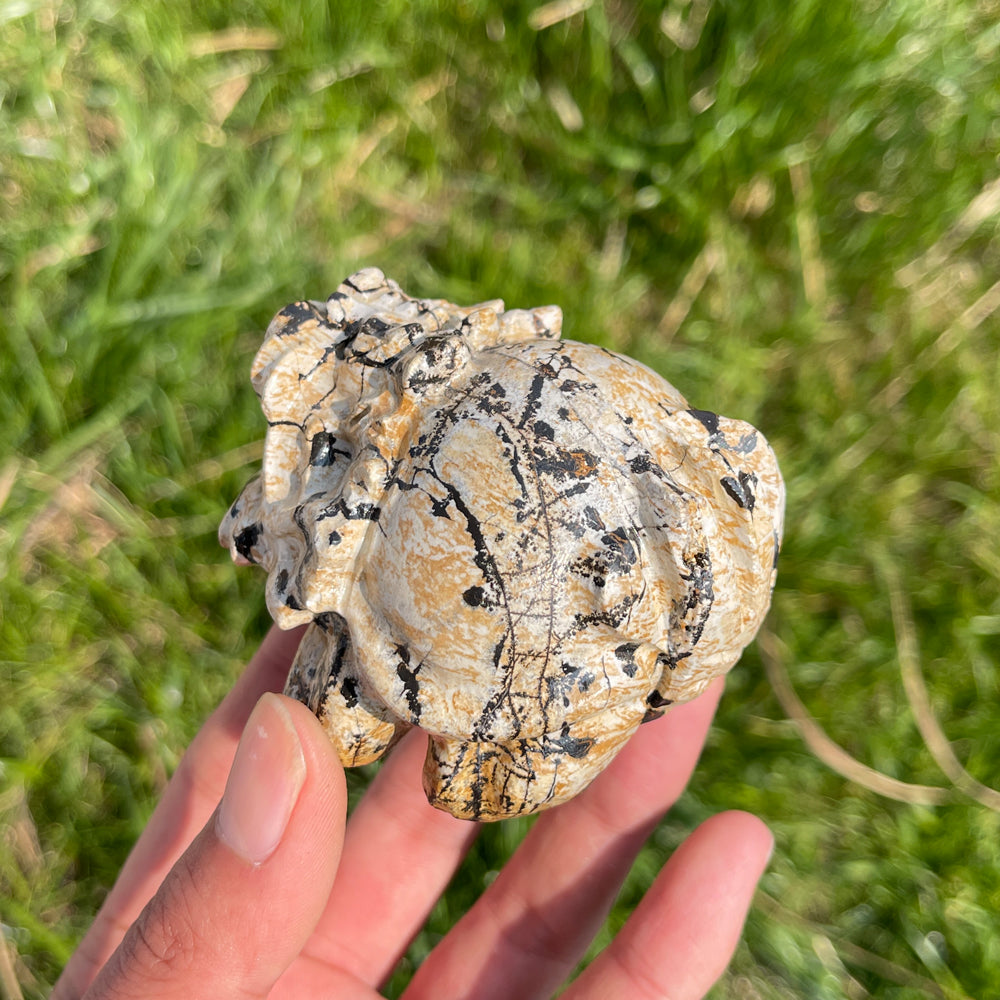 Natural Crystal Picture Jasper Dragon Turtle