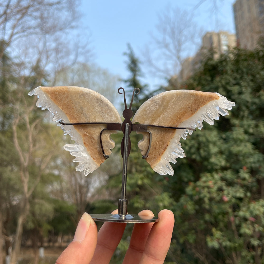 Unique,Natural Crystal Chrysanthemum Cluster Butterfly Wings