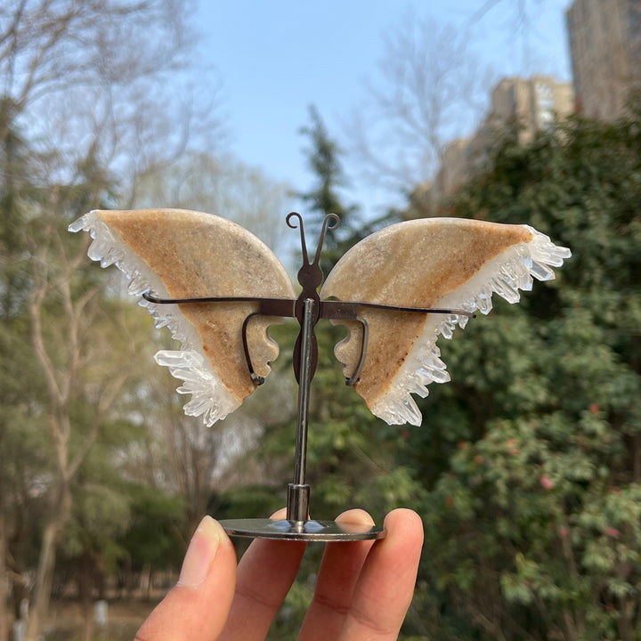 Unique,Natural Crystal Chrysanthemum Cluster Butterfly Wings