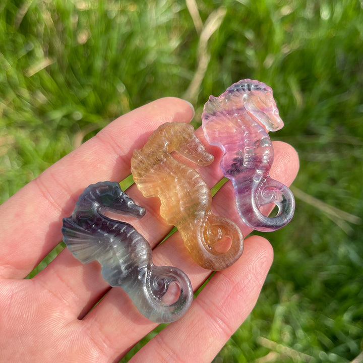 Natural Crystal Carved Mini Seahorse