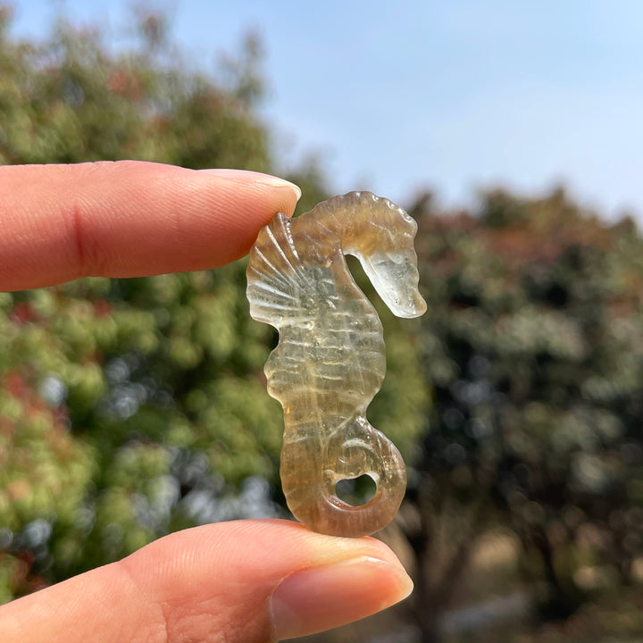Natural Crystal Carved Mini Seahorse