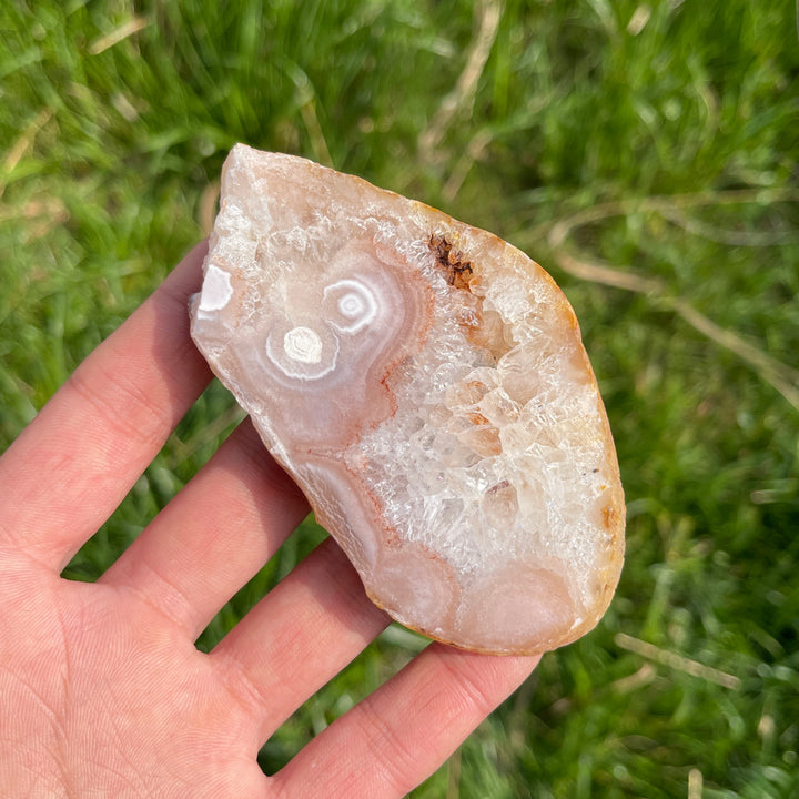 Natural Crystal Flower Agate Slices