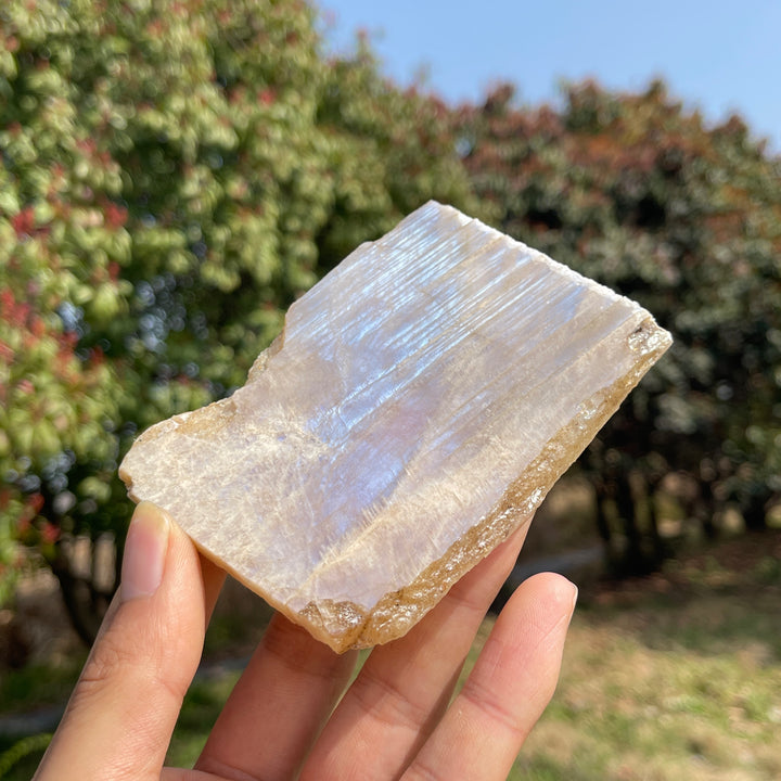 Natural Moonstone Slices