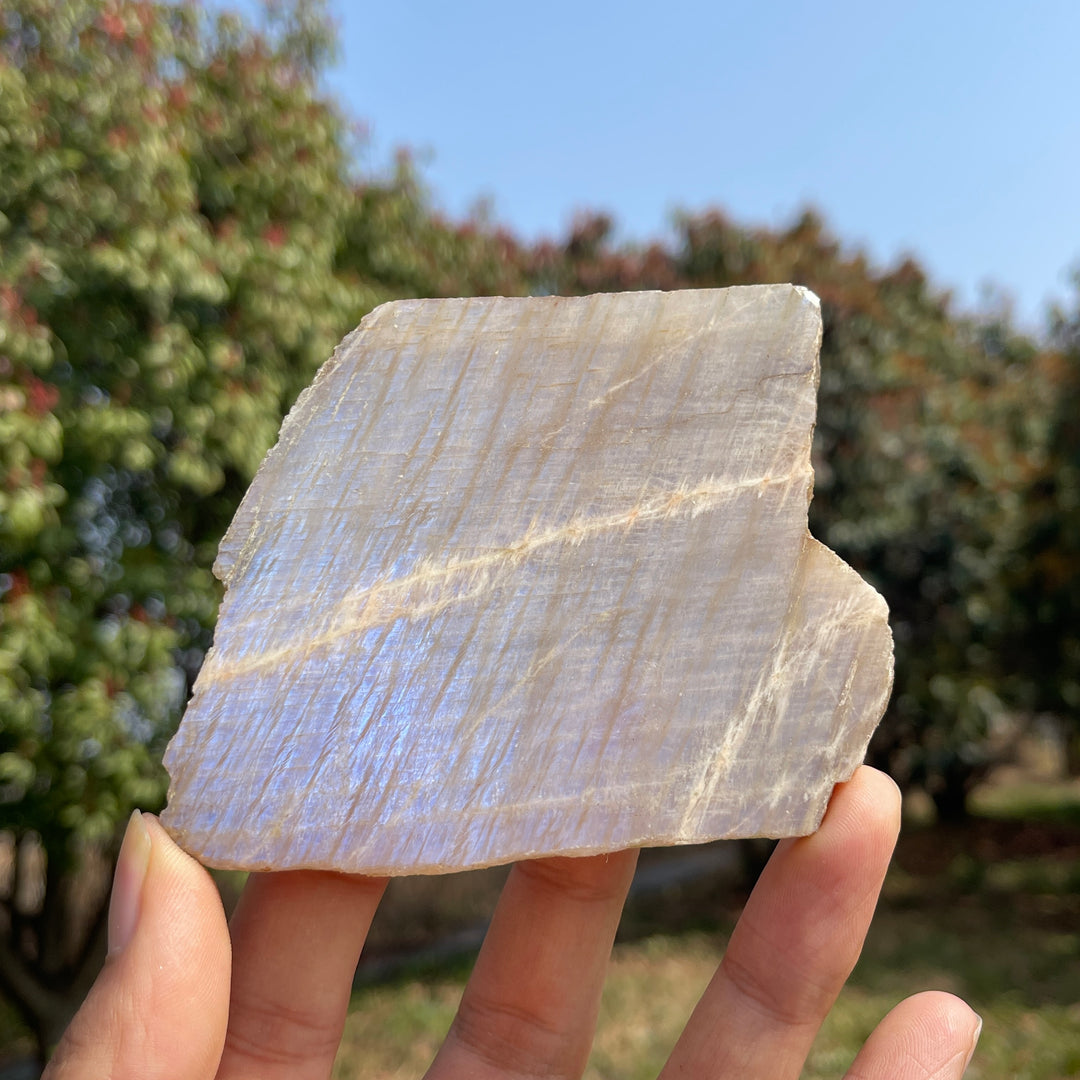 Natural Moonstone Slices