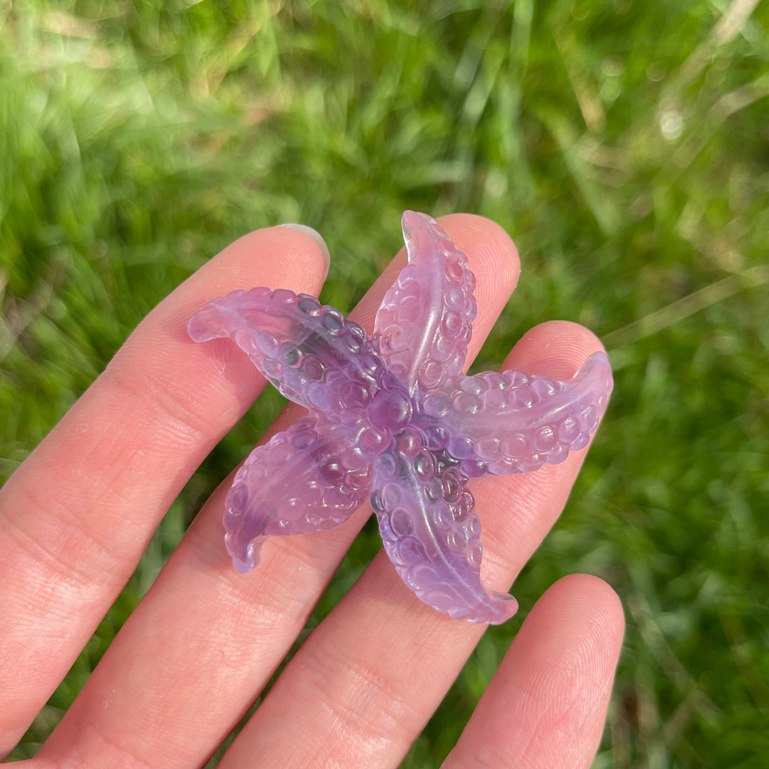 Natural Crystal Fluorite Carved Starfish