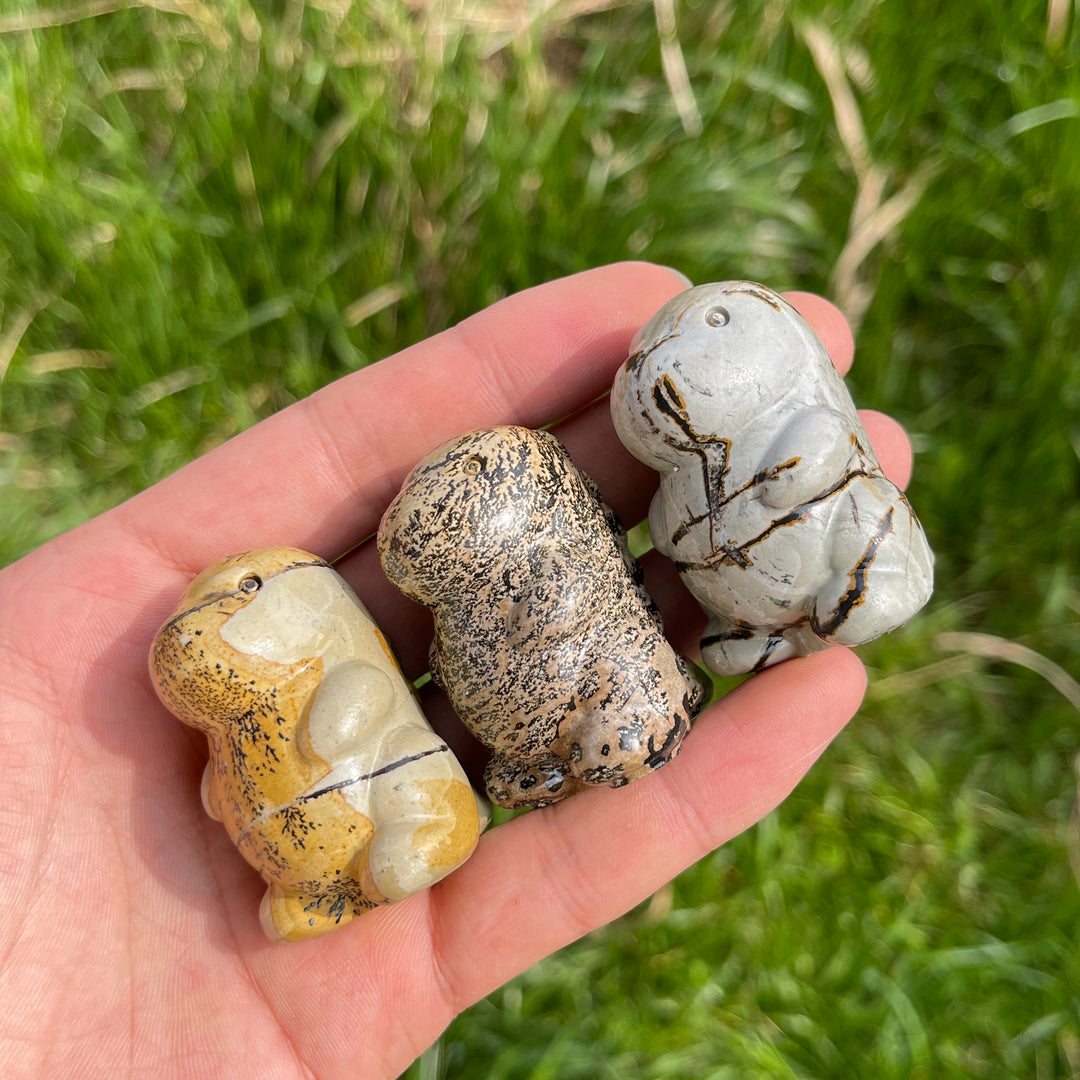 Natural Crystal Picture Jasper Dinosaur