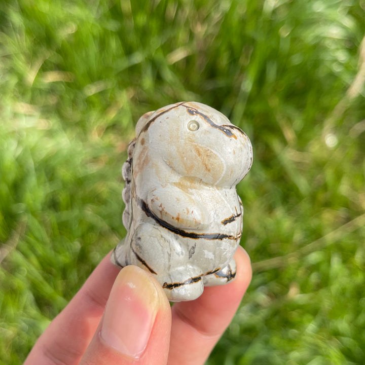 Natural Crystal Picture Jasper Dinosaur