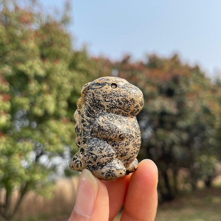 Natural Crystal Picture Jasper Dinosaur