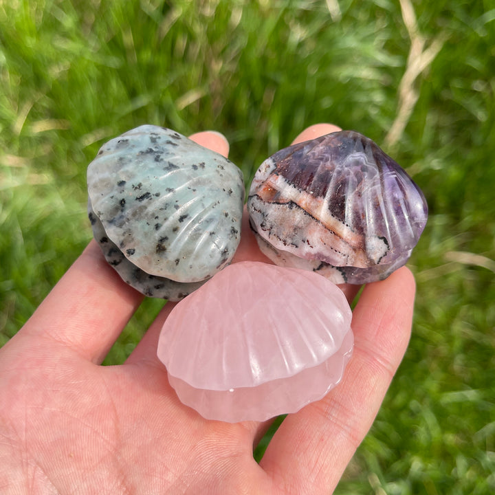 Natural Carved Crystal Shells