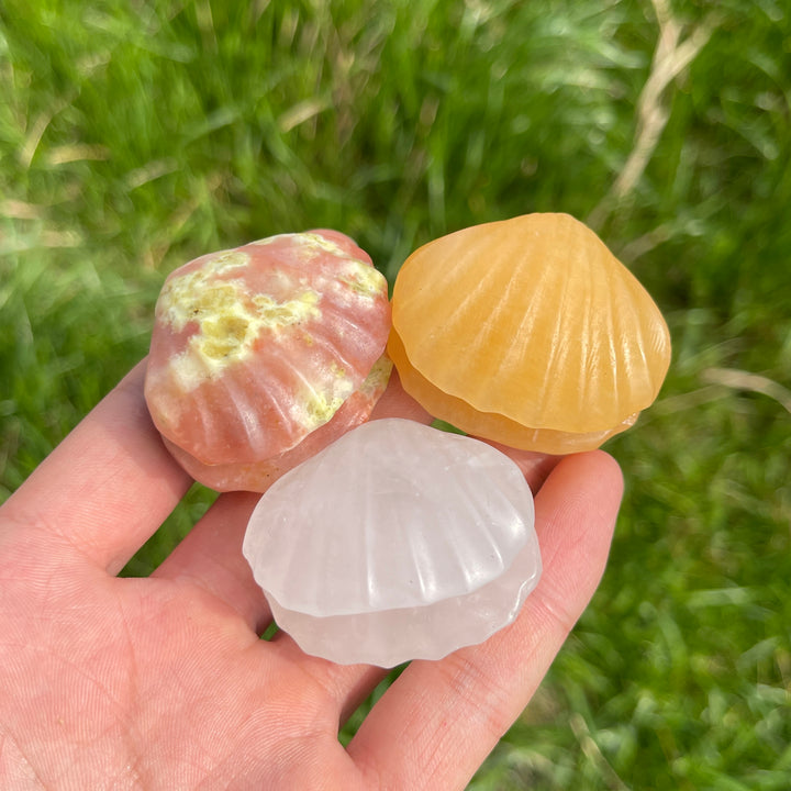 Natural Carved Crystal Shells