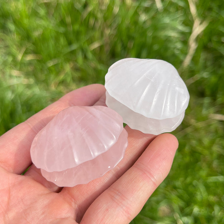 Natural Carved Crystal Shells