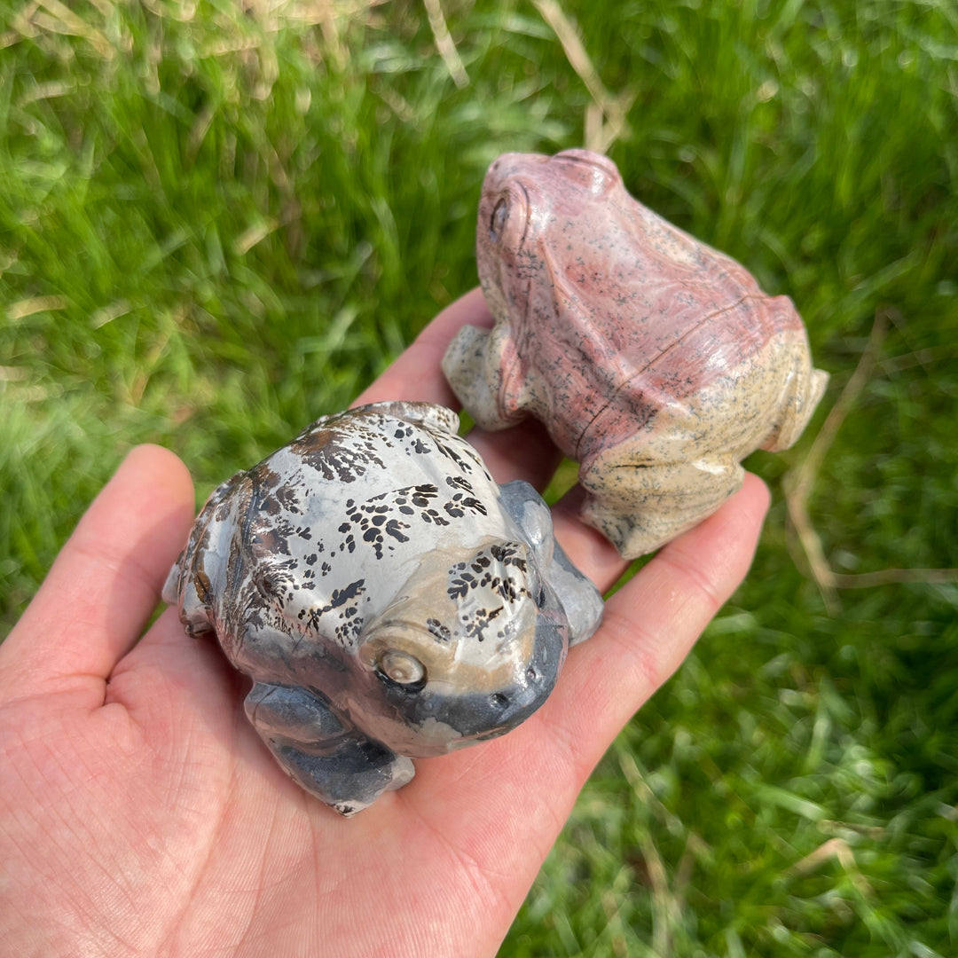 Natural Crystal Picture Jasper Carved Frog