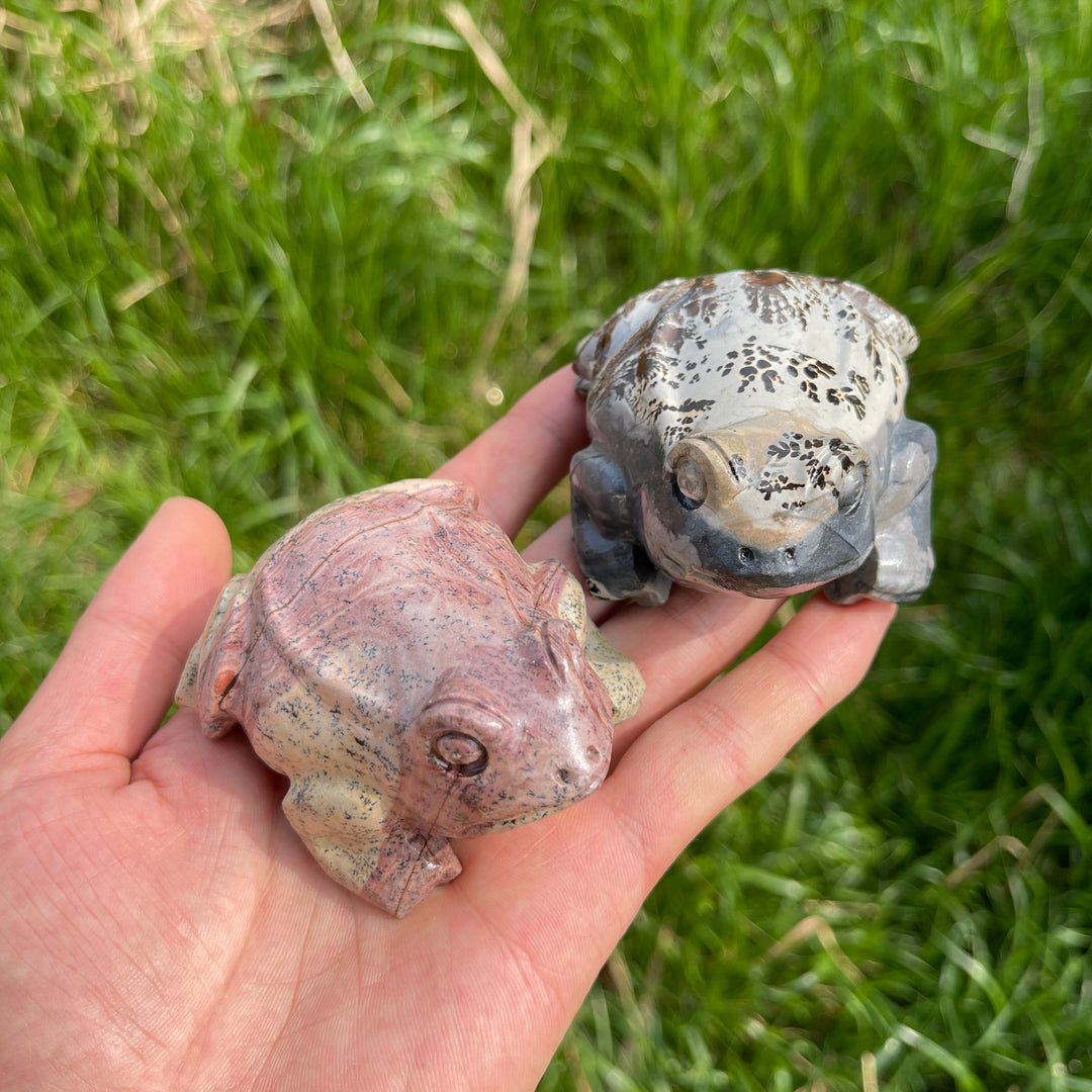 Natural Crystal Picture Jasper Carved Frog
