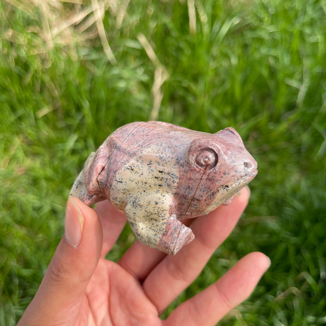 Natural Crystal Picture Jasper Carved Frog