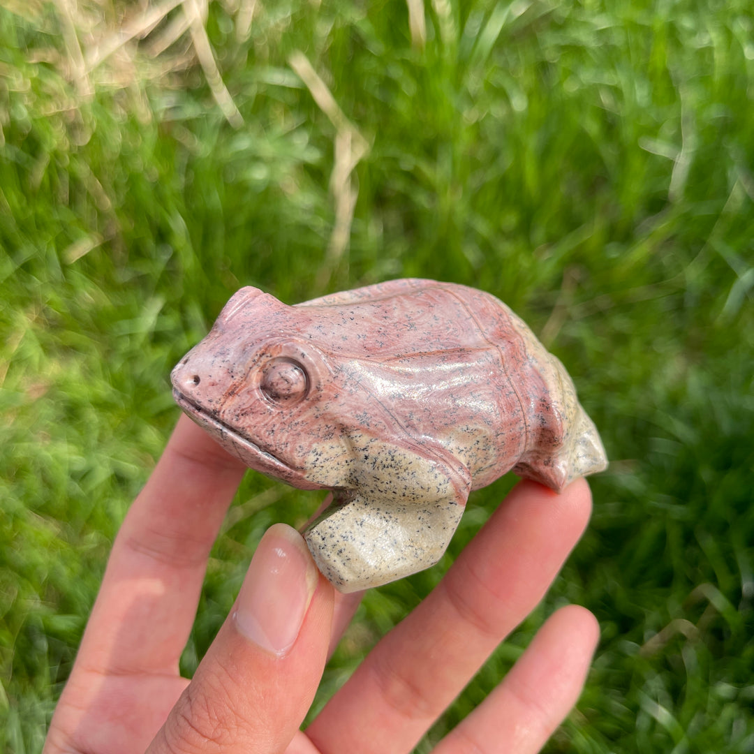 Natural Crystal Picture Jasper Carved Frog