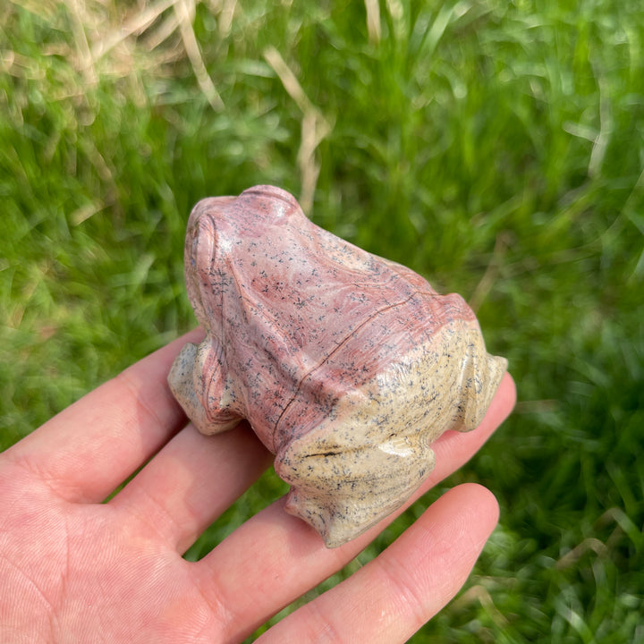 Natural Crystal Picture Jasper Carved Frog