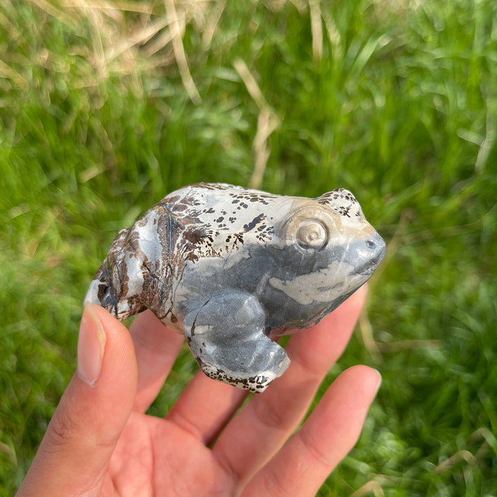 Natural Crystal Picture Jasper Carved Frog