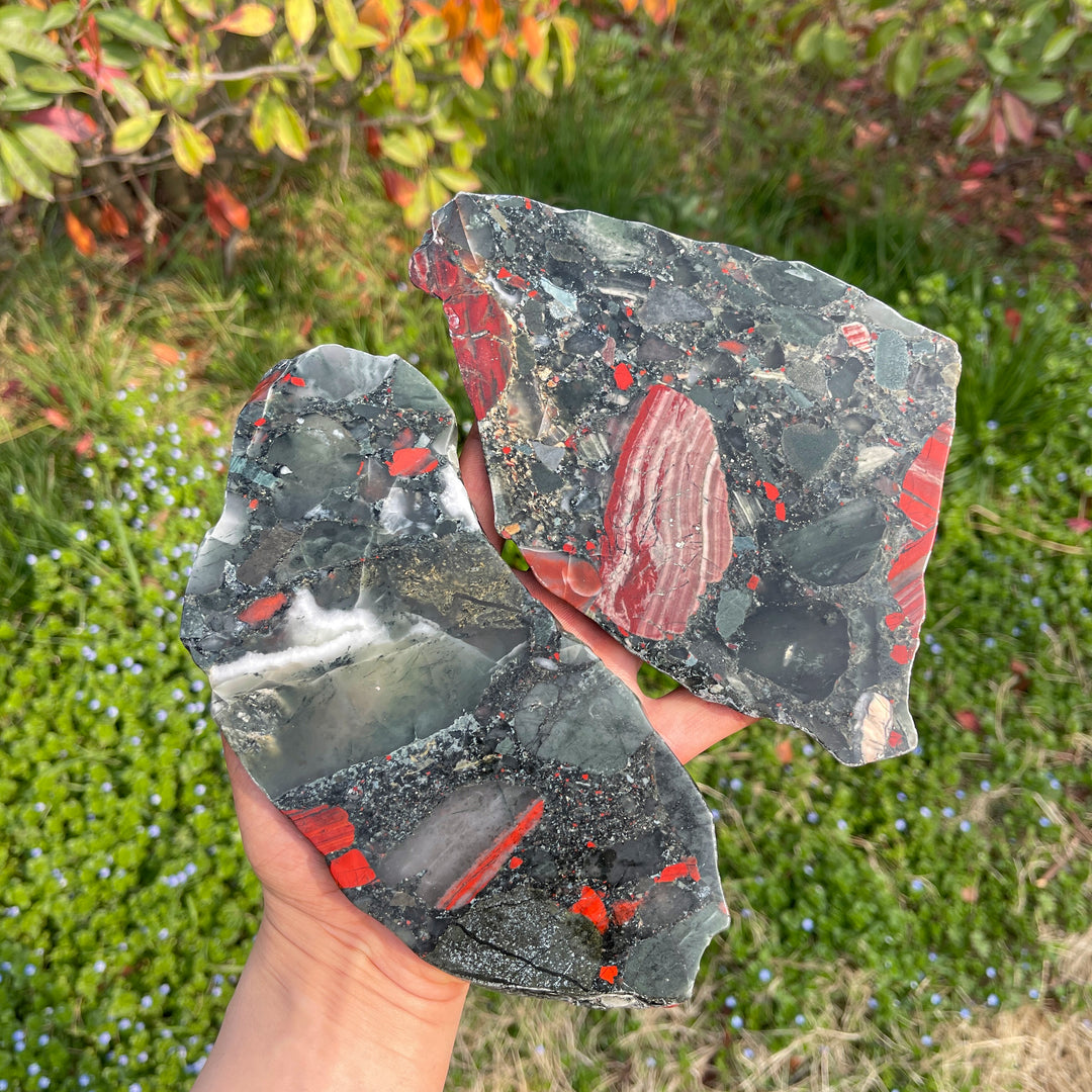 Unique,Natural Crystal African Bloodstone Slice