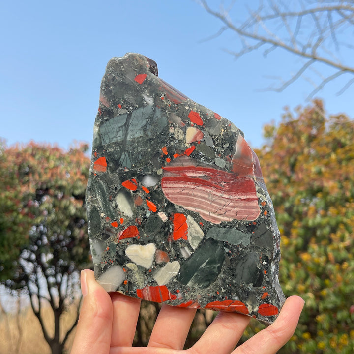 Unique,Natural Crystal African Bloodstone Slice