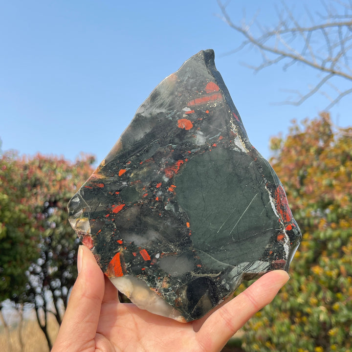 Unique,Natural Crystal African Bloodstone Slice