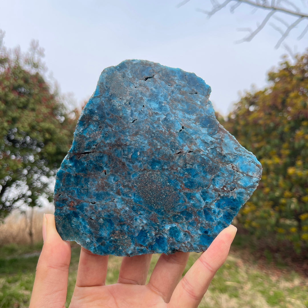 Unique,Natural Crystal Blue Apatite Slices
