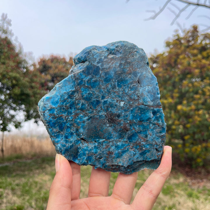 Unique,Natural Crystal Blue Apatite Slices