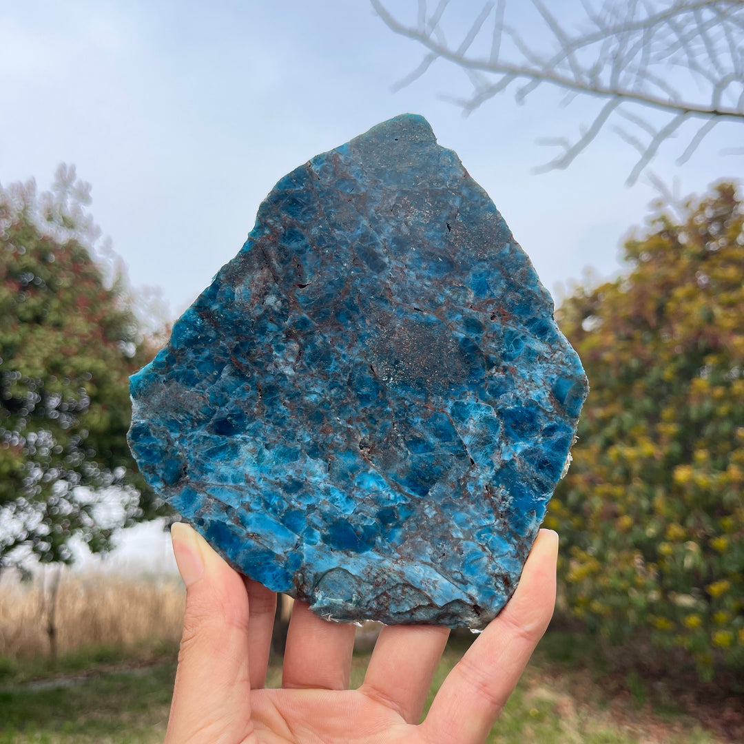 Unique,Natural Crystal Blue Apatite Slices