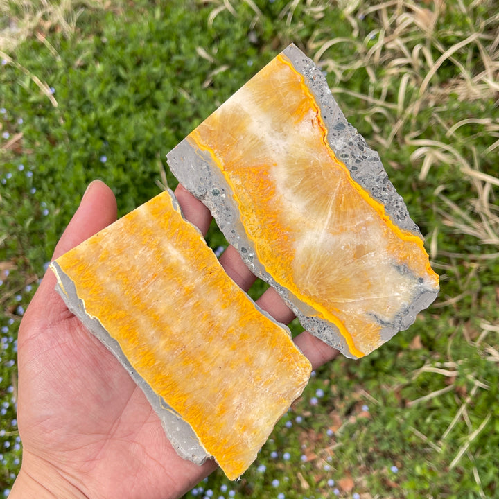 Natural Crystal Bumble Bee Jasper Slice