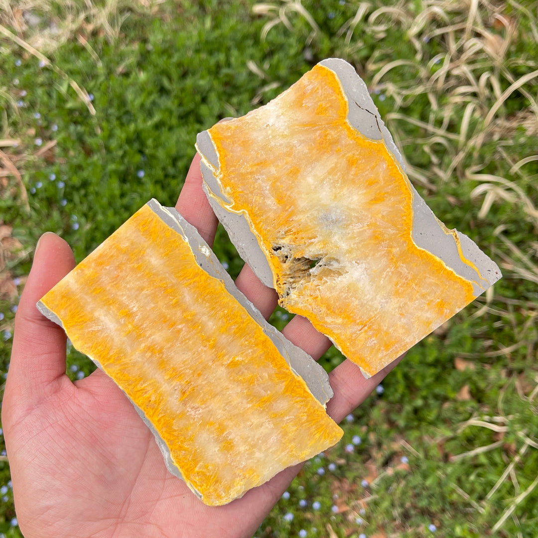 Natural Crystal Bumble Bee Jasper Slice