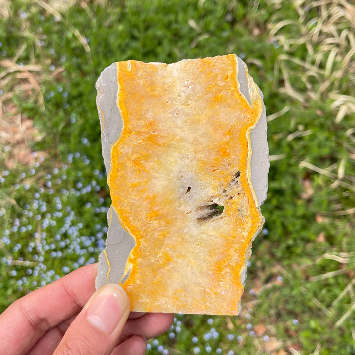 Natural Crystal Bumble Bee Jasper Slice