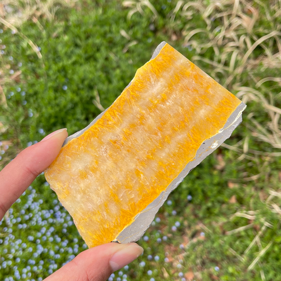 Natural Crystal Bumble Bee Jasper Slice