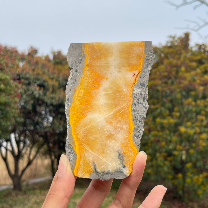 Natural Crystal Bumble Bee Jasper Slice