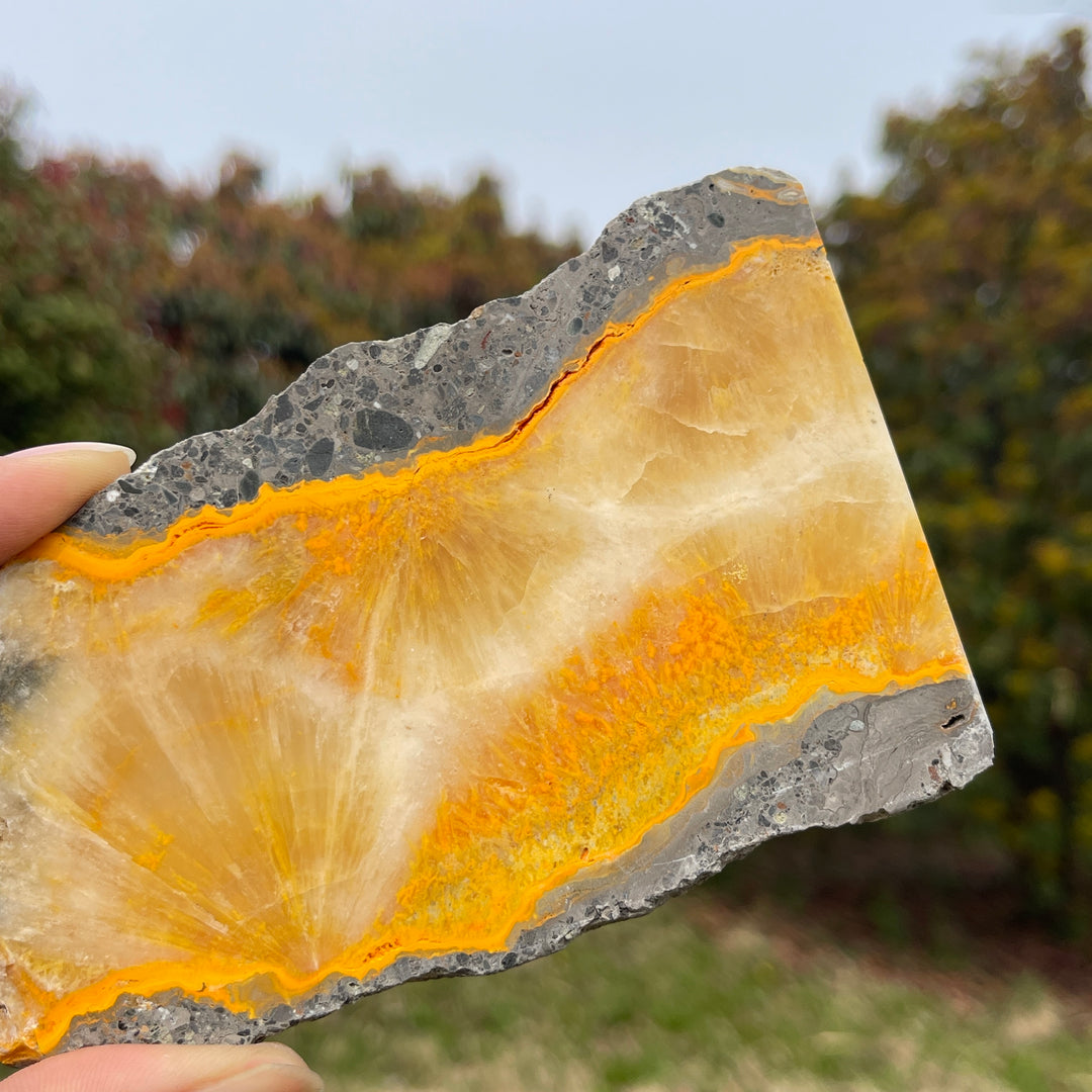 Natural Crystal Bumble Bee Jasper Slice
