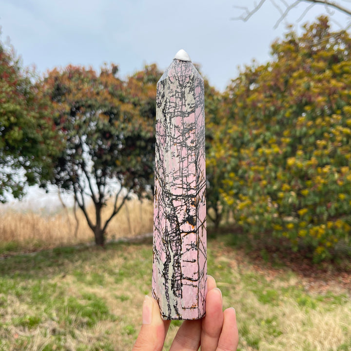 Rhodonite Point